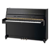 Steinbach 108 Modern Pianos