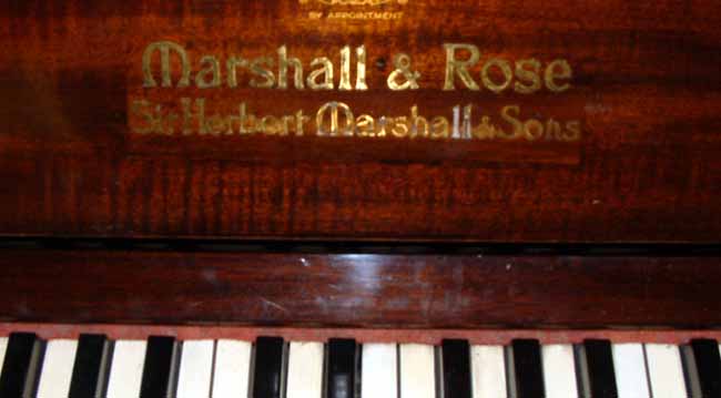 Marshall rose name