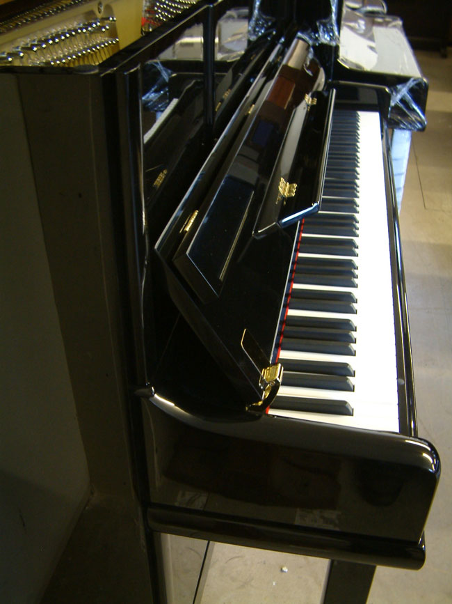 Sideview of Eisenstein piano