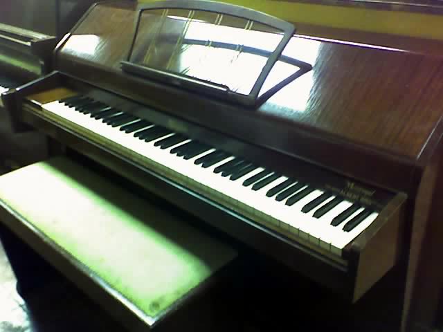 Eavestaff Miniroyal