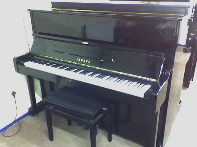 yamahau1