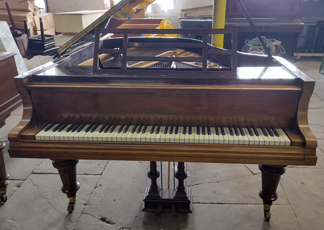 Bluthner restored grand piano.