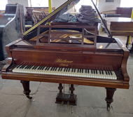 Bluthner grand pianos