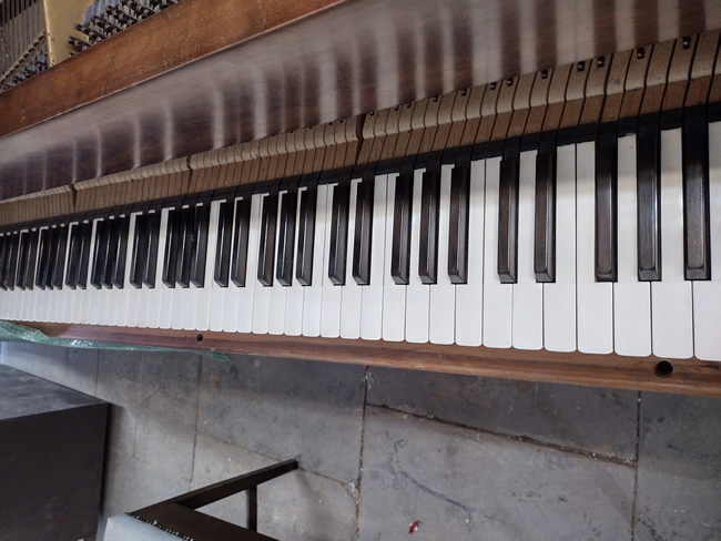 Bluthner ivory keyboard