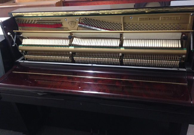 Deste/Samick piano action.