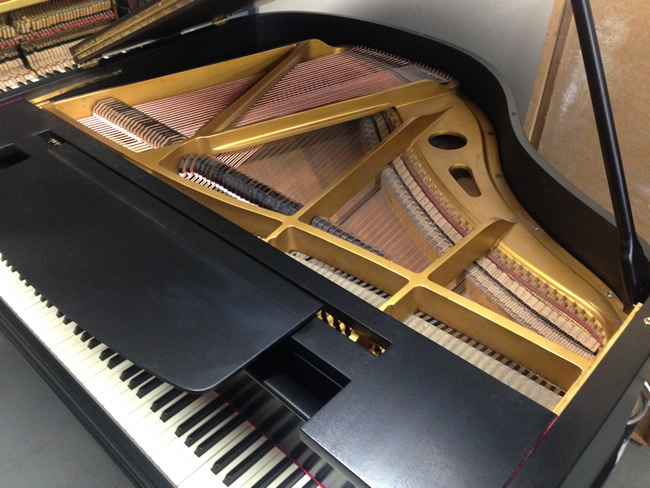 Murdoch baby grand frame and strings.