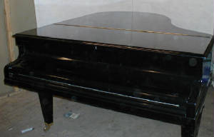baby bechstein after