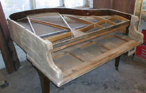 baby bechstein before