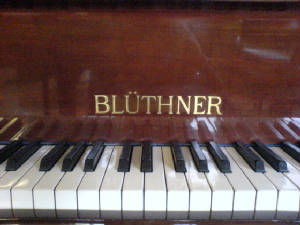 bluthner