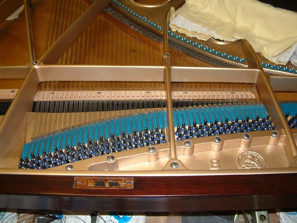 Bechstein Grand Piano